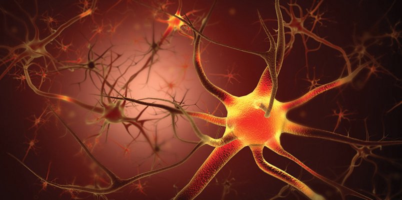 super patch neurony super patch neurony